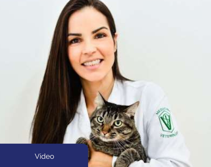 Vídeo Vet We Care Você no Vet We Care! MV Daniela Mol Valle Blog